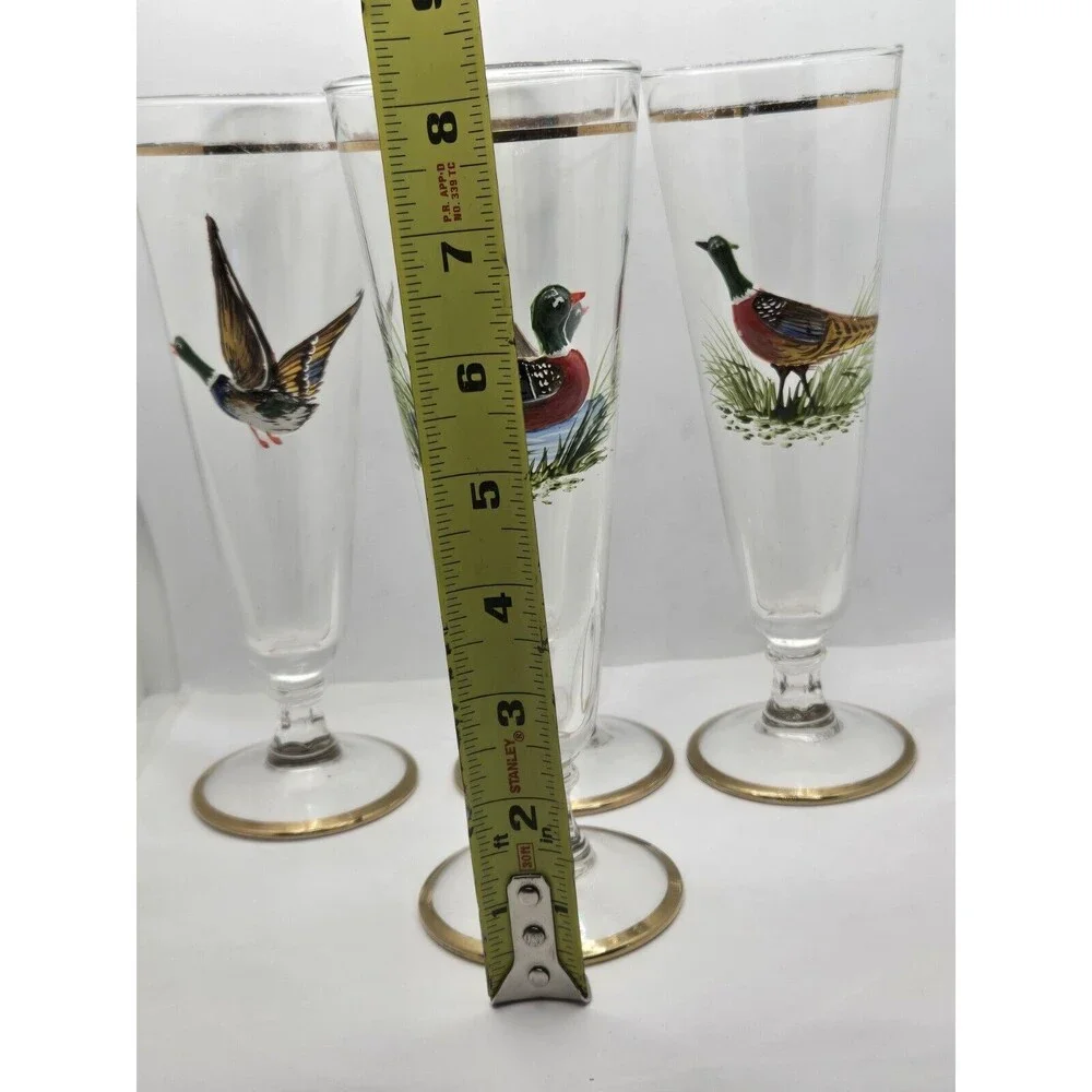 Set of 5 Vintage Wildlife Fowl Birds Pilsner Beer Glasses